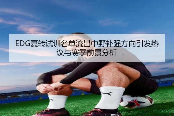 EDG夏转试训名单流出中野补强方向引发热议与赛季前景分析